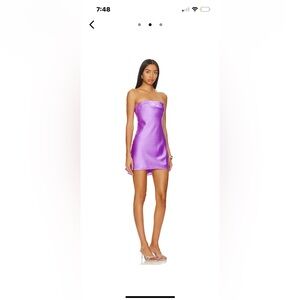 NWT Taylor Tube Mini Dress Size Small